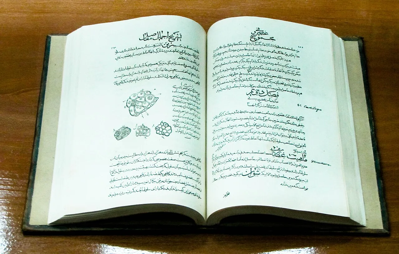 Ibn Sina's Canon of Medicine historical image 1