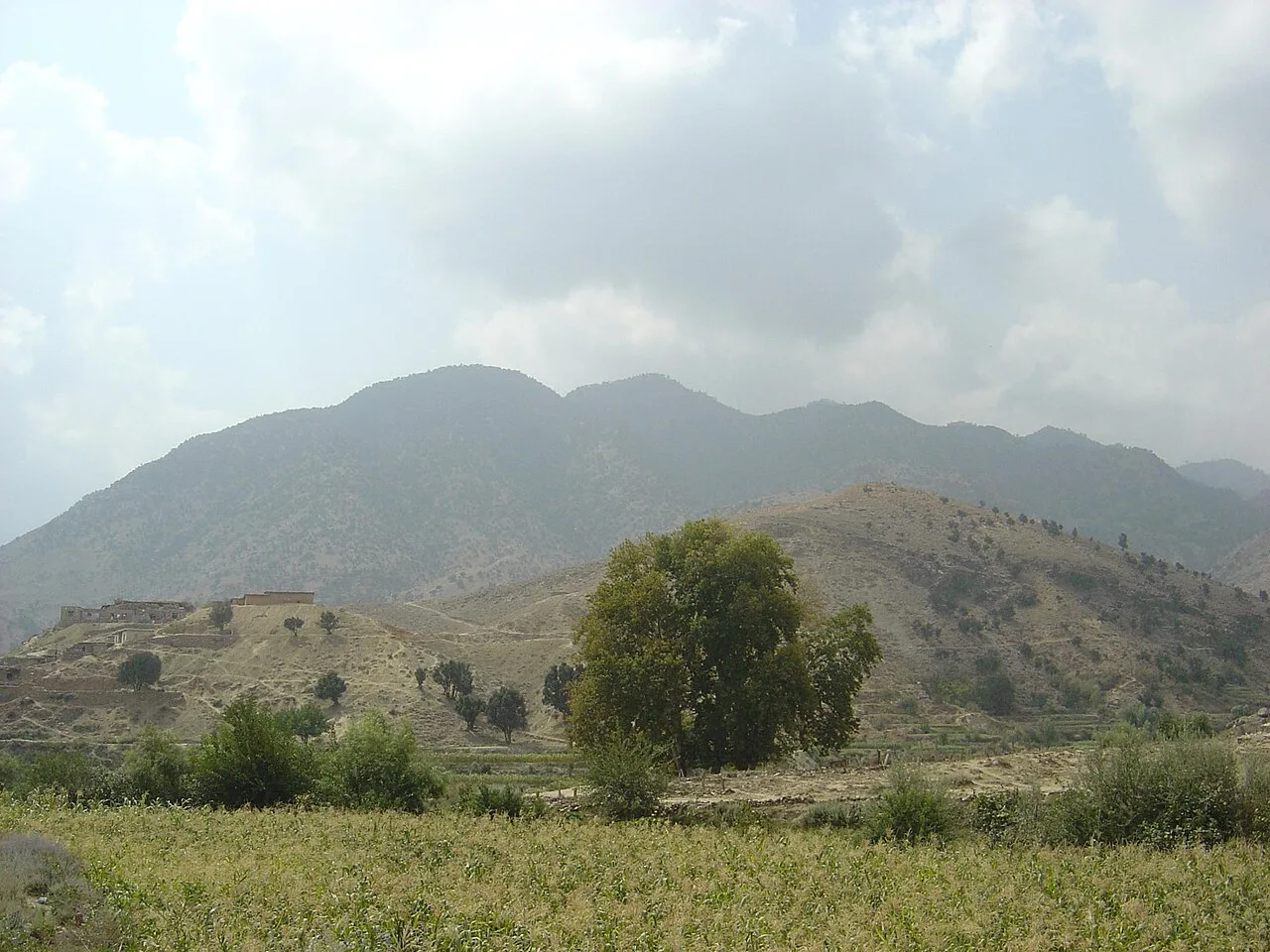 Al-Qaeda historical image 1